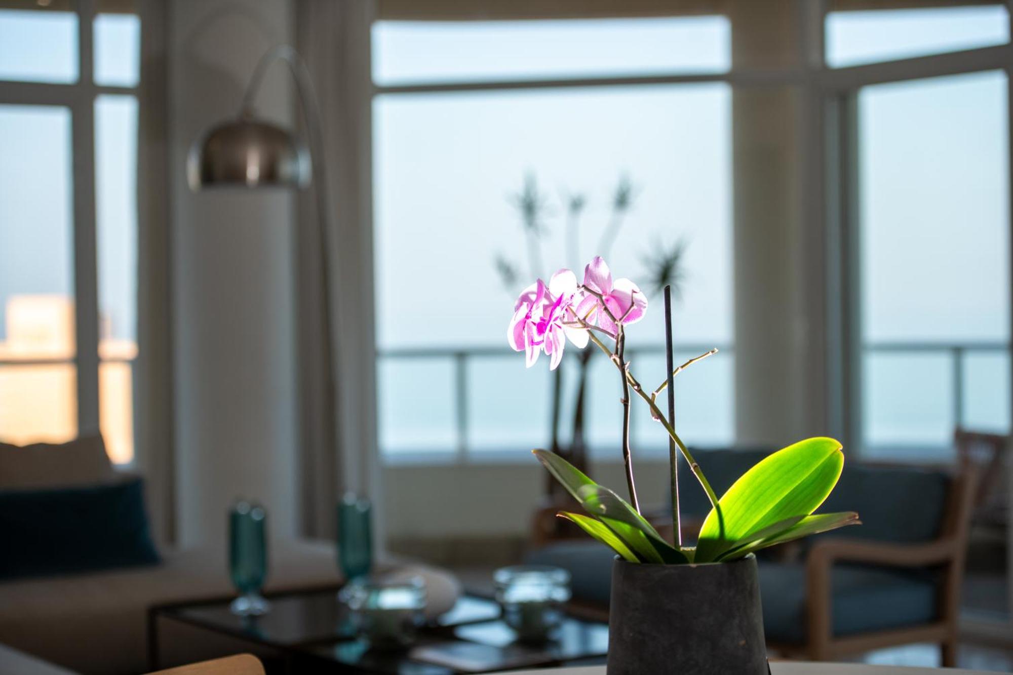 801 Oyster Schelles - By Stay In Umhlanga เดอร์บัน ภายนอก รูปภาพ